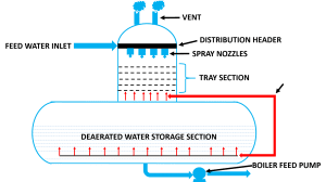 دی اریتورسینی شکل