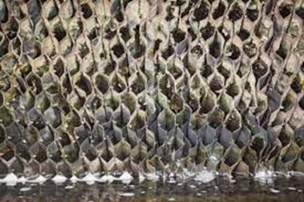 Sedimentation in the pilot