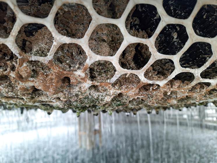 Deposits accumulated in the cooling tower Deposits accumulated in the cooling tower