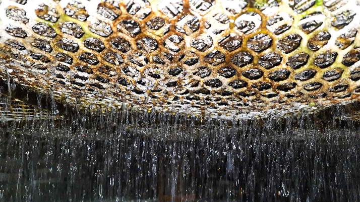 Bad odor or algae growth in the cooling tower tank Bad odor or algae growth in the cooling tower tank