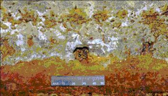 خوردگی میکروبی در مبدل حرارتی